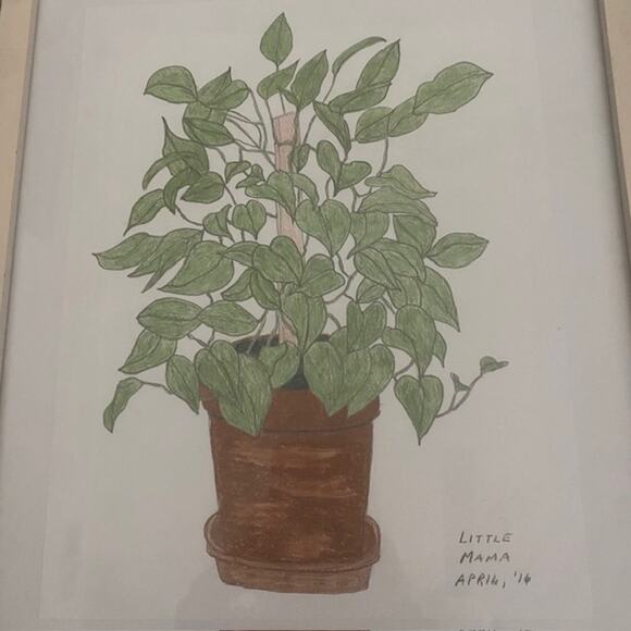 Original Art Philodendron "Little Mama"‎ April 2016 Pencil Drawing Framed - Picture 4 of 10